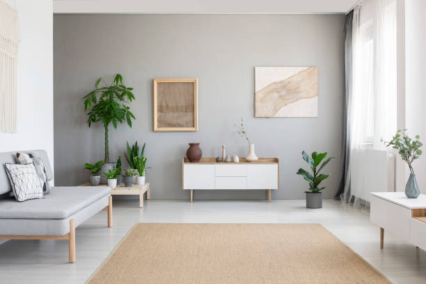 foto real del interior de estilo nórdico brillante sala de estar con plantas frescas, armario blanco, ventanas con cortinas, sofá gris y grandes alfombras en el piso - simple living fotografías e imágenes de stock