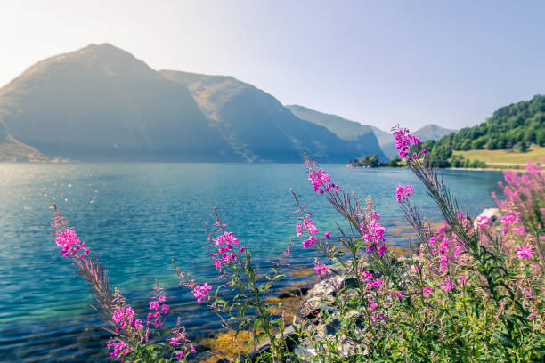 istock Norwegian natural beauty 1032633718