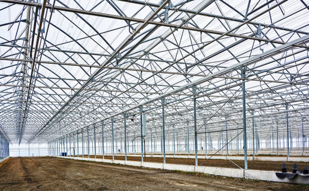 istock big empty greenhouse waiting for pants 1032636034