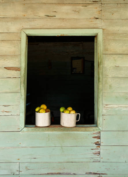 istock Guava fruit in a window in Cuba 1032641938