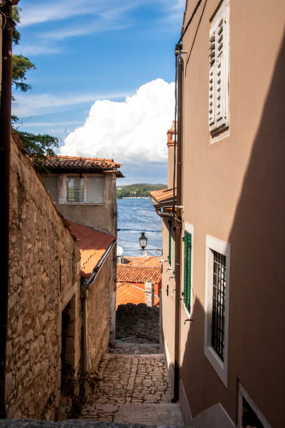 istock Alley in Rovinj 1032646846