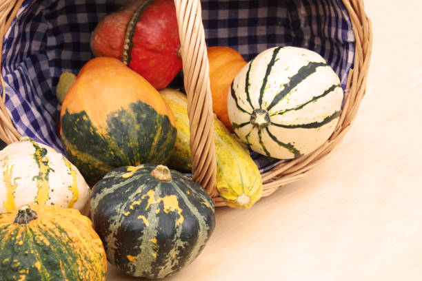 istock pumpkins rolling out of a basket 1032646862