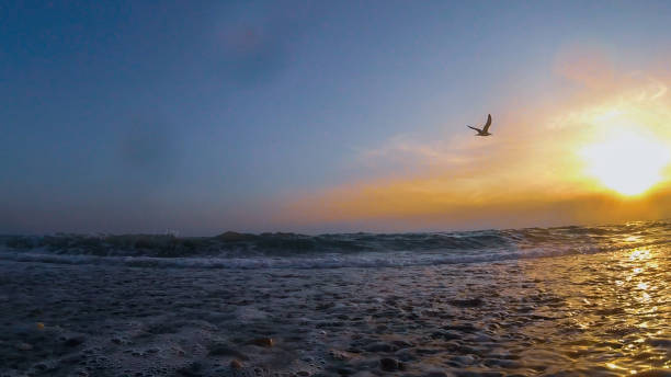 istock Beautiful summer sunset with clouds over the sea 1032647230