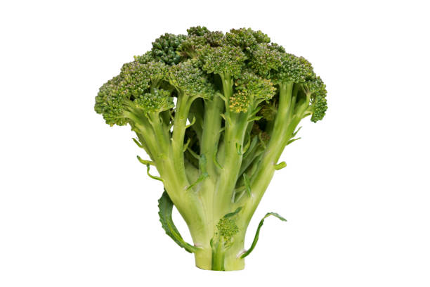 istock Big green broccoli on white background with flowers 1032647258