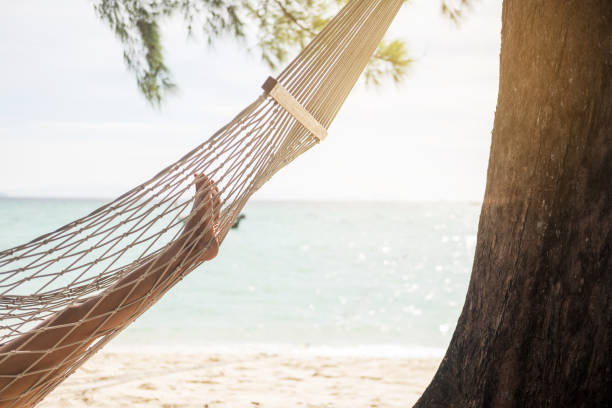 istock Low Section Of Woman In Hammock At Beach 1032654340