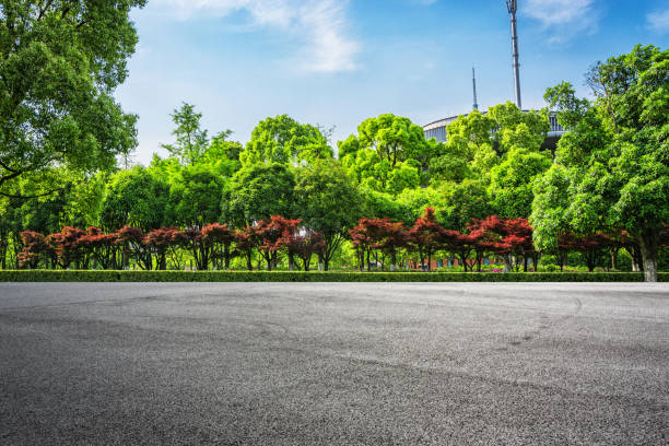 istock empty square floor and park nature landscape in city park 1032660232