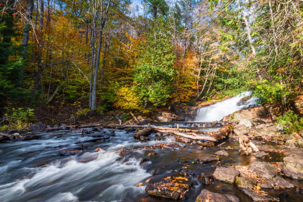 istock Fish Hatchery Falls Muskoka 1032660526