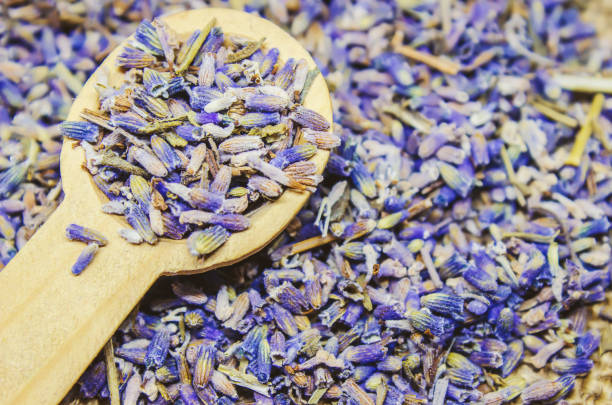 istock Essential oil of lavender. Selective focus. nature bio flowers. 1032661168