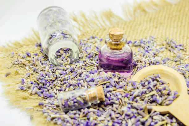 istock Essential oil of lavender. Selective focus. nature bio flowers. 1032661204