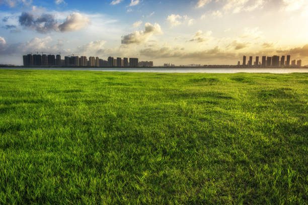 istock Panoramic skyline and buildings with green grass 1032666156