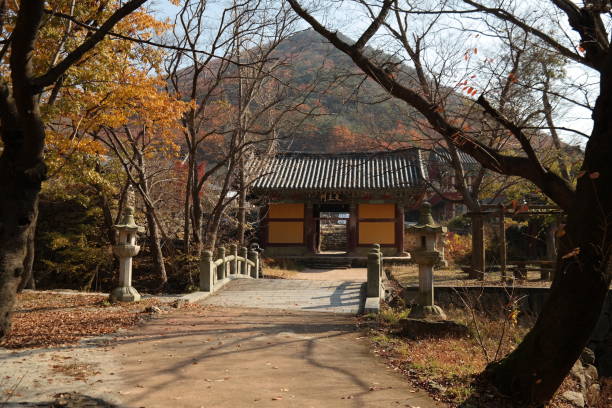 istock Heungguksa Buddhist Temple 1032667570