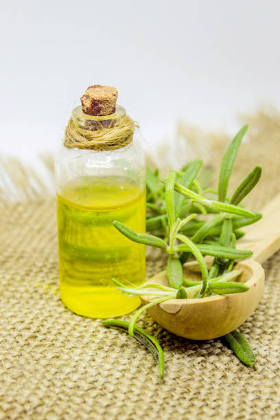 istock Rosemary essential oil in a small bottle.selective focus. 1032674142