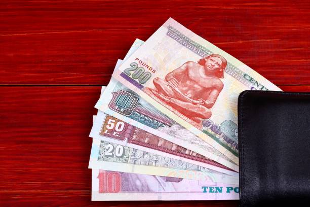 istock Egyptian Pounds in the black wallet 1032693730