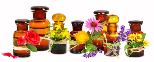stare szklane butelki farmaceuty z roślinami medycznymi - lavender lavender coloured flower homeopathic medicine zdjęcia i obrazy z banku zdjęć