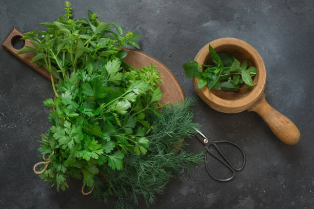 istock Fresh bundle of fresh herbs. Basil, mint, oregano on dark. Kitchen herbs. 1032701934