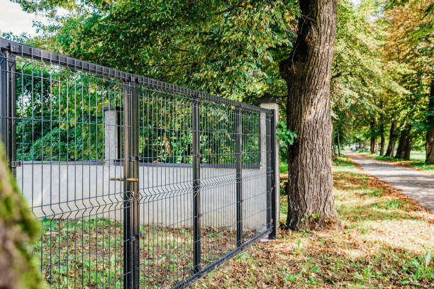 istock grating wire industrial fence gate 1032701998