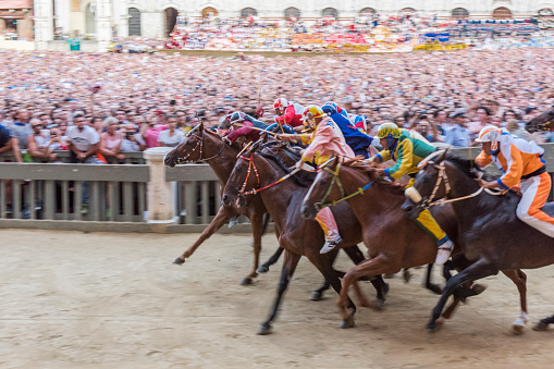 Horses close to the starting line competing at the 2018 \