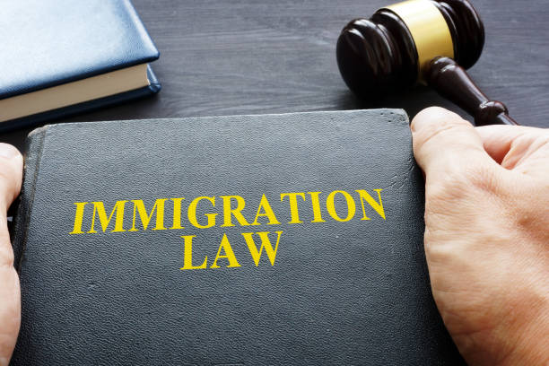 istock Hands are holding Immigration Law book. 1032711534