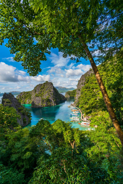 Island of Coron with a view of Kayangan Lake in Palawan, Philippines Palawan, Philippines, Asia - November 23, 2017: Palawan  view showing island of Coron, trees, rock mountains boats, long wooden bridge and nipa hut in the sea can be seen on the background philippines landscape stock pictures, royalty-free photos & images