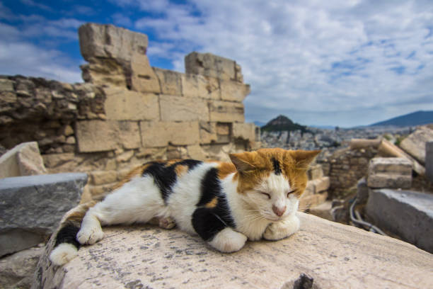 Ancient Greece, the cradle of modern civilization, an amazing view of the modern history inside the ruins left by the Greek Civilization inside the Old Greek Acropolis in the middle of the new Athens city centre