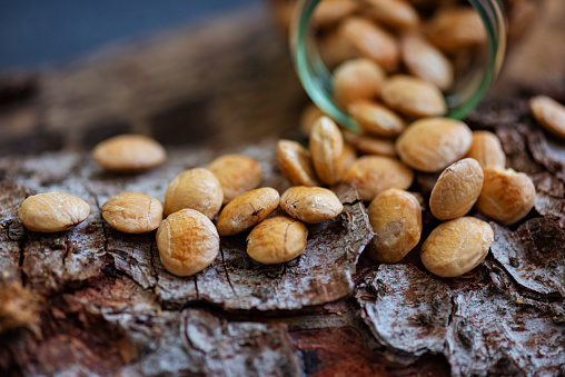 Sacha Inchi nuts are the upcoming superfood of the Inca directly out of Colombia