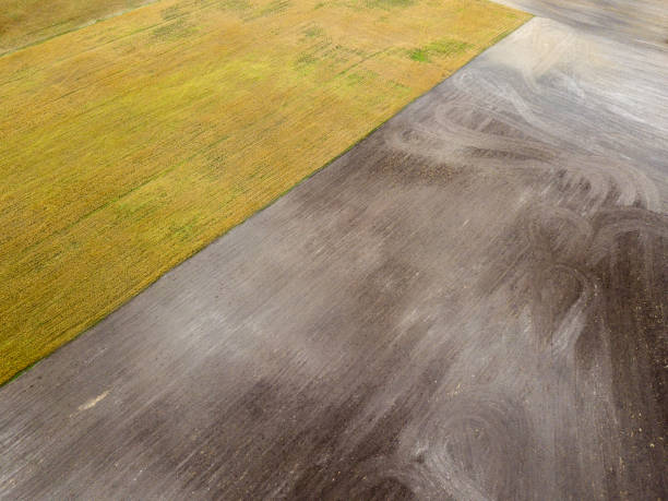 istock drone image. aerial view of rural area with fields and lonely trees. textured background 1032740624