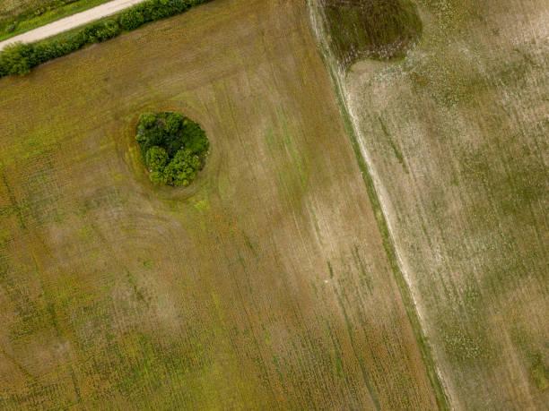istock drone image. aerial view of rural area with fields and lonely trees. textured background 1032740946