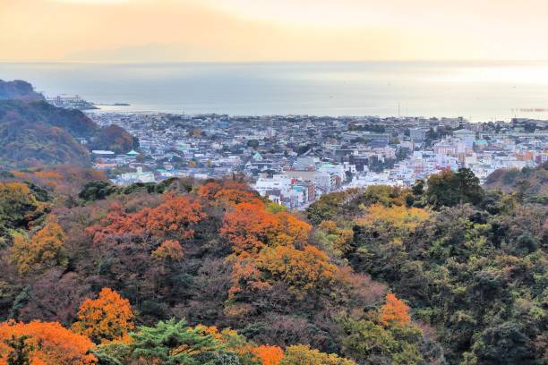 Kamakura, Japan Kamakura, Japan. Aerial view with autumn forests. kamakura city photos stock pictures, royalty-free photos & images