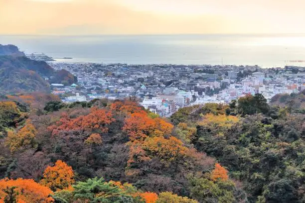 Kamakura, Japan. Aerial view with autumn forests.