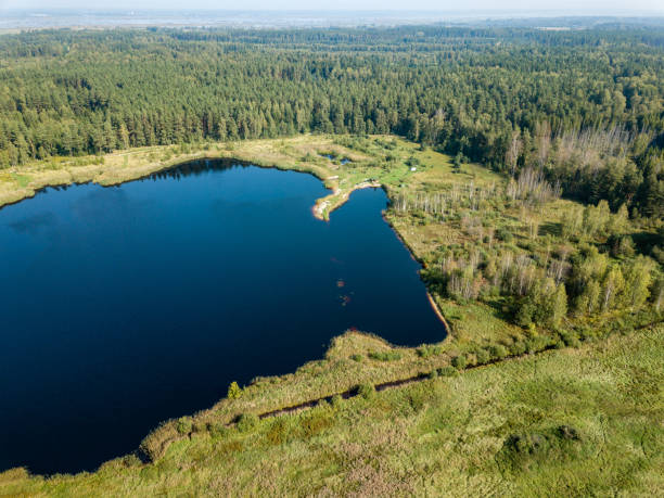 istock drone image. aerial view of rural area with fields and forest lake 1032747304