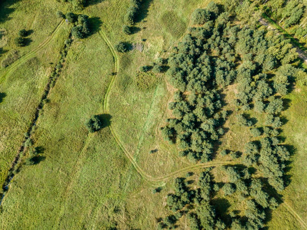 istock drone image. aerial view of rural area with fields and lonely trees. textured background 1032747548
