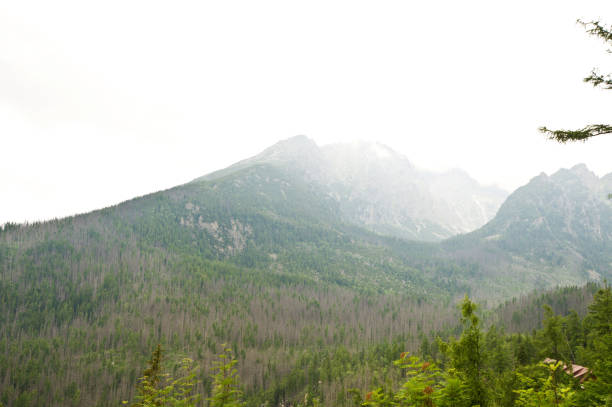 istock Beautiful Colourful Slovensky Raj (Slovak Paradise National Park), Slovakia 1032748360