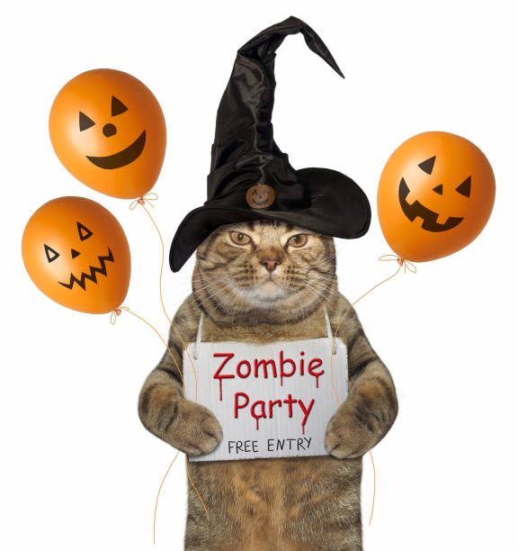 istock Cat in a witch hat with halloween balloons 1032753180
