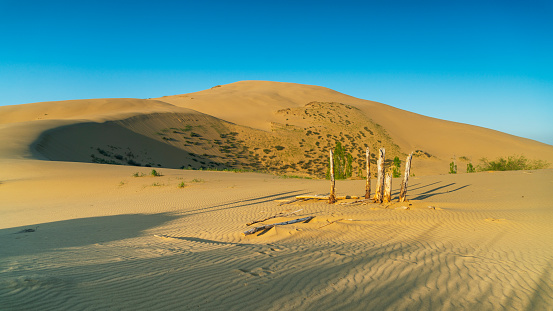 Sand dune Sarykum in Dagestan. Russai