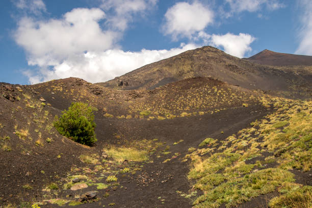 istock Mount Etna Volcano - Sicily - Italy 1032753404