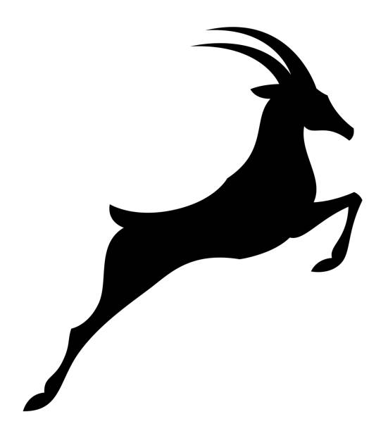 ilustrações de stock, clip art, desenhos animados e ícones de black jumping antelope - gazelle