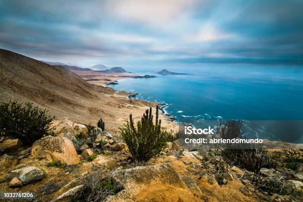 Playa Blanca In Pan De Azucar National Park In North Chile With The Atacama Desert Sands Ending On The Pacific Ocean Waters Maybe The Best Beaches In Chile Stock Photo - Download Image Now