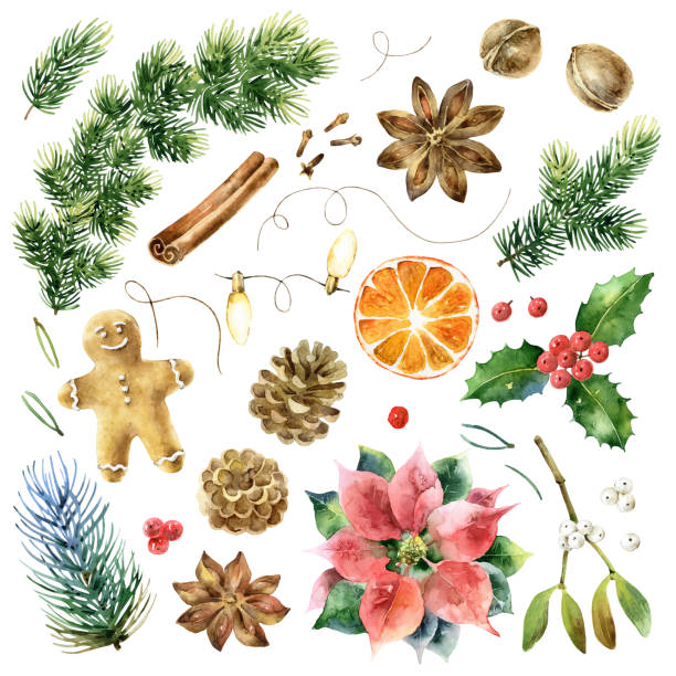 큰 크리스마스 수채화 요소 설정 - pine branch pine tree pine cone stock illustrations
