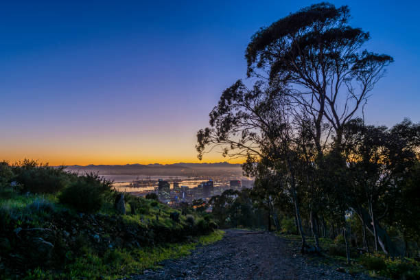 istock Cape Town sunrise from Signal Hill path 1032779438