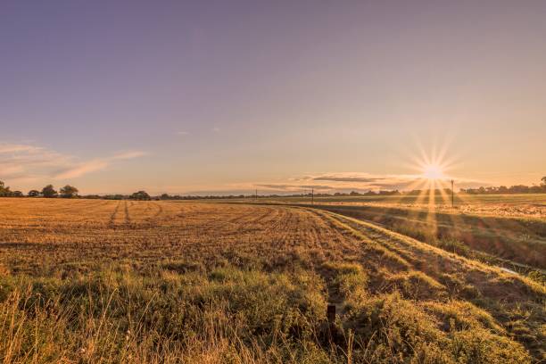istock Dawn after the harvest. 1032779624