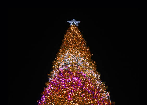 istock Low Angle View of a Giant Sparkling Christmas Tree Glittering Against Dark Night Sky 1032783200