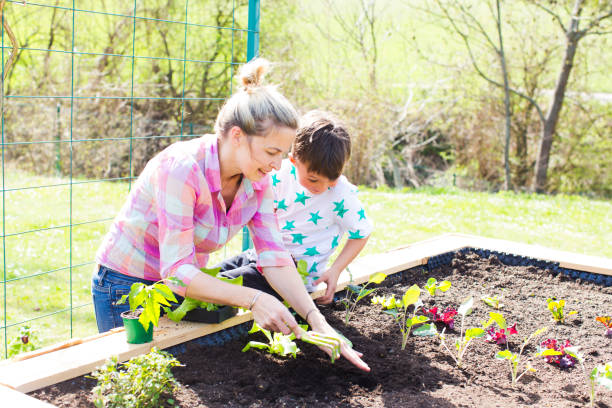 istock Mother And Son Gardening At Backyard 1032784004