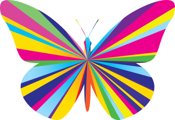 Psychedelic Burst Butterfly Vector illustration of a colorful psychedelic burst butterfly. butterfly wing patterns stock illustrations