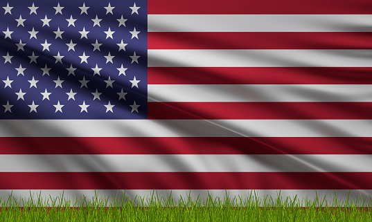flag of America USA United states of America with green grass 3d-illustration