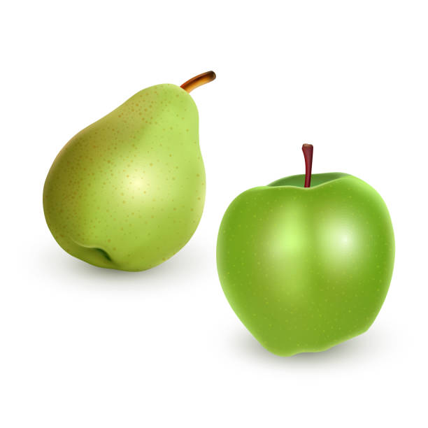 Set of green Apple and Pear on light background, realistic vector illustration Set of green Apple and Pear on light background, realistic vector eps 10 illustration perfect pear stock illustrations