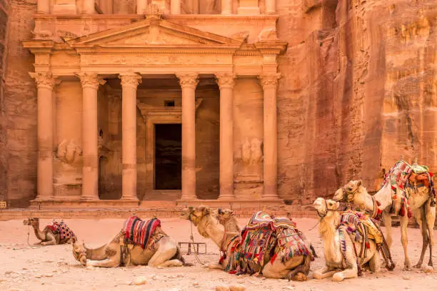 PETRA, JORDAN - JUNE 30, 2014: Camels resting near the acient temple in Petra, Jordan, Middle East