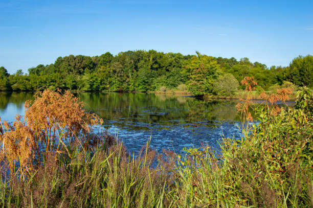 istock Little Mulberry Park, GA Lake View 1032813540