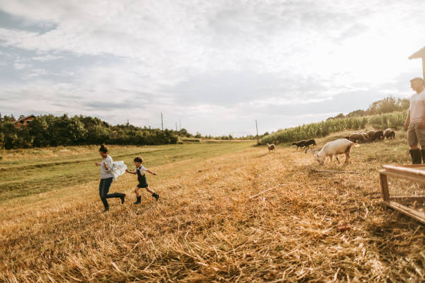 istock Having fun at our family farm 1032826196
