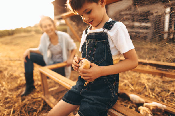 istock Little animal lover at the farm 1032826238