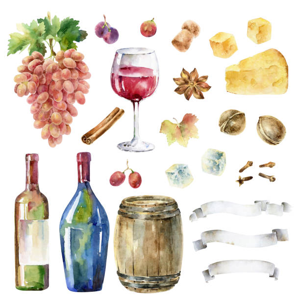 ilustraciones, imágenes clip art, dibujos animados e iconos de stock de dibujado a mano pintado a acuarela ilustración con racimo de uvas, copa de vino, especias y otros elementos - cheese wine white background grape